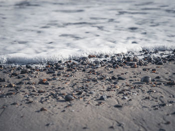 Close-up of pebbles on beach during winter