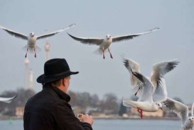 Man feeding seagulls flying against clear sky