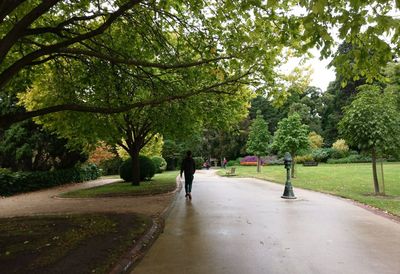 People walking on footpath in park