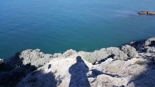 High angle view of rocks on beach