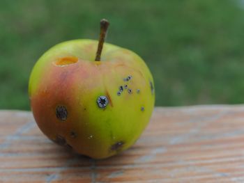 Close-up of apple