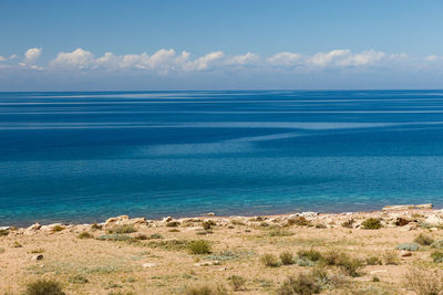 Lake issyk-kul, kyrgyzstan, the largest lake in kyrgyzstan, south shore of the lake