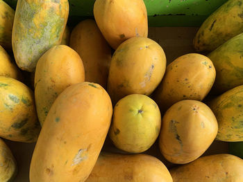 Arrangement of papaya fruit in a box ready for sale