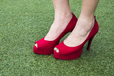 Low section of woman standing on grass