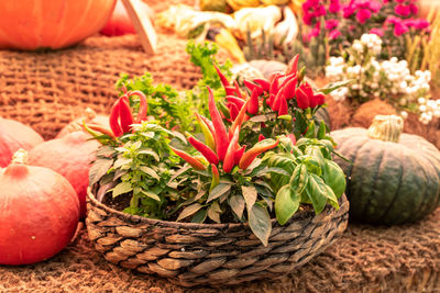 Close-up of red chili peppers in basket