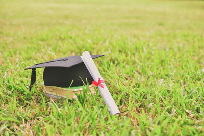 Mortarboard and diploma on field