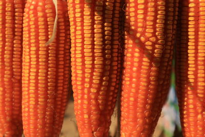 Full frame shot of dry corn.