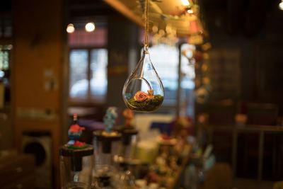 Close-up of illuminated christmas tree