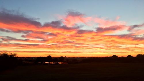 Silhouette trees on field against orange sky