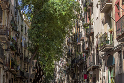 Crowded narrow street, historical buildings in the old town of barcelona, catalonia, spain, europe.