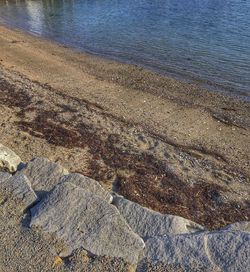 High angle view of beach