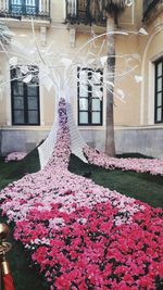 Flowering plants by window in building