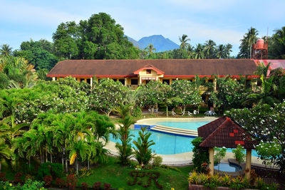 Plants growing by swimming pool by building against sky