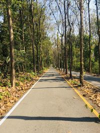 Road amidst trees in forest