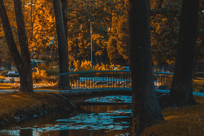 Arch bridge over river in forest during autumn