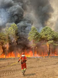 Scenic view of wildfire