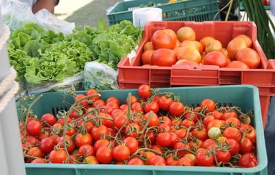 Vegetables for sale