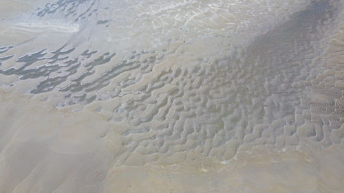land
