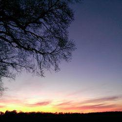 Silhouette of trees at sunset