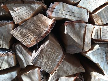 Full frame shot of logs in forest