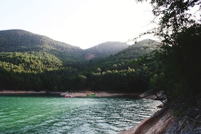 Scenic view of river amidst trees against sky