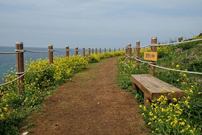 Road passing through field