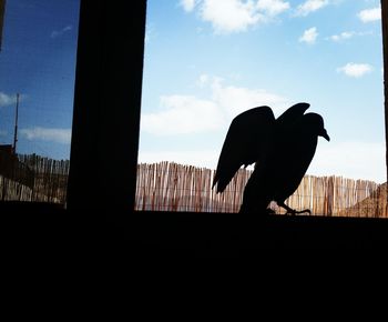 Close-up of silhouette birds against sky seen through window