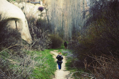 Rear view of woman hiking in forest