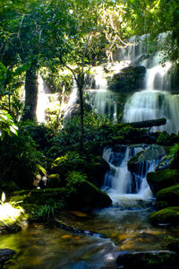 Scenic view of waterfall in forest