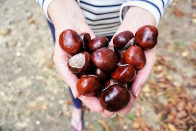 Close-up of woman holding chestnuts while standing outdoors