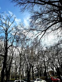 Low angle view of trees against sky