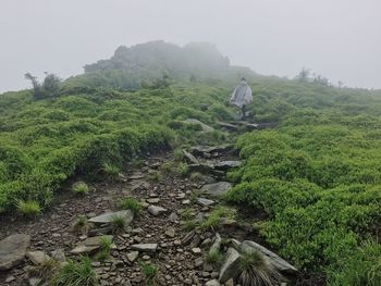 Rear view of woman walking on field against sky during foggy weather