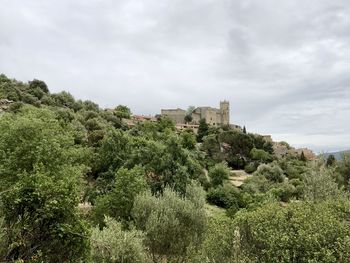 Trees and plants against sky