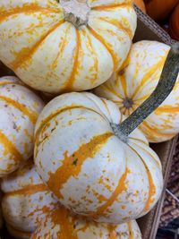 Close-up of pumpkins for sale at market stall