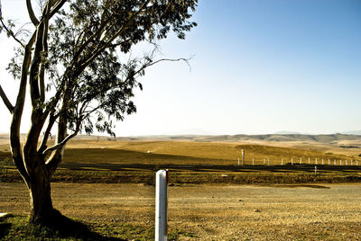 Scenic view of landscape against clear sky