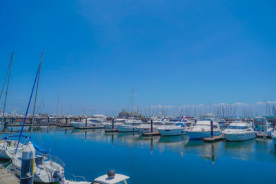 Boats moored at harbor