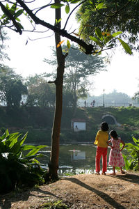 Rear view of a girl standing by plants