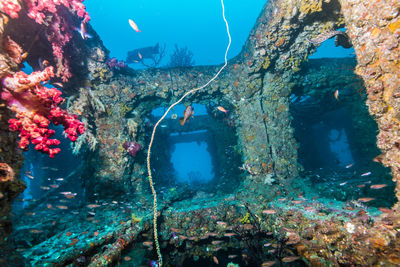 View of underwater shipwreck