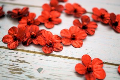 High angle view of red berries on table