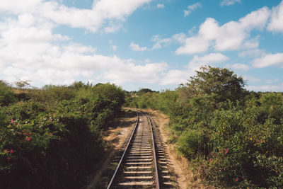 Railroad tracks amidst trees against sky