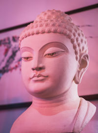 Close-up of pink flower