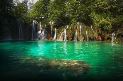 Scenic view of waterfall in trees