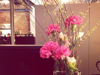 Close-up of pink flowers