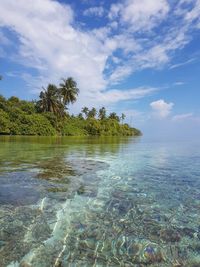 Scenic view of sea against sky
