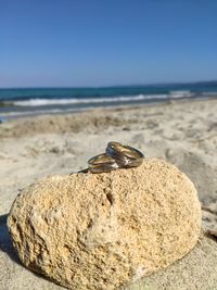 Close-up of crab on sand at beach against clear sky