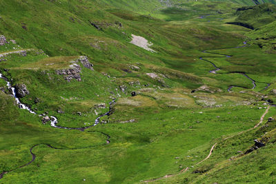 High angle view of green landscape