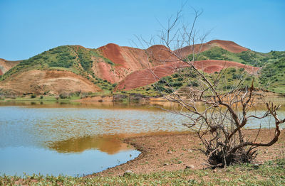 A dried bush against the backdrop of a mountain lake and red hills
