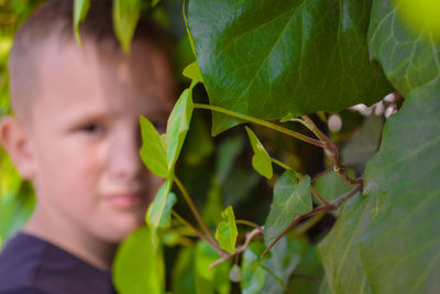 Portrait of boy on plant