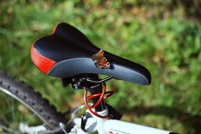 Close-up of butterfly on bicycle