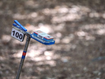 Control point in forest orienteering competition, sign hidden in country